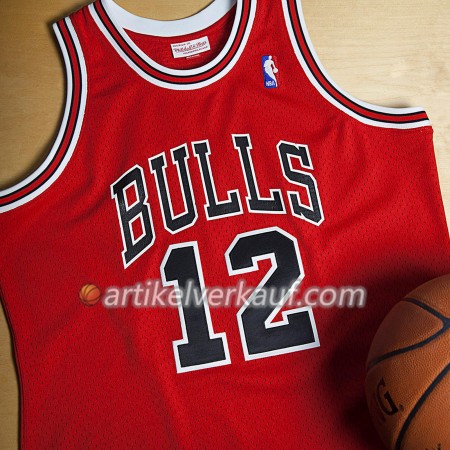 NBA Chicago Bulls Trikot Michael Jordan 1989-90 Hardwood Classics 12 Authentic Swingman - Herren